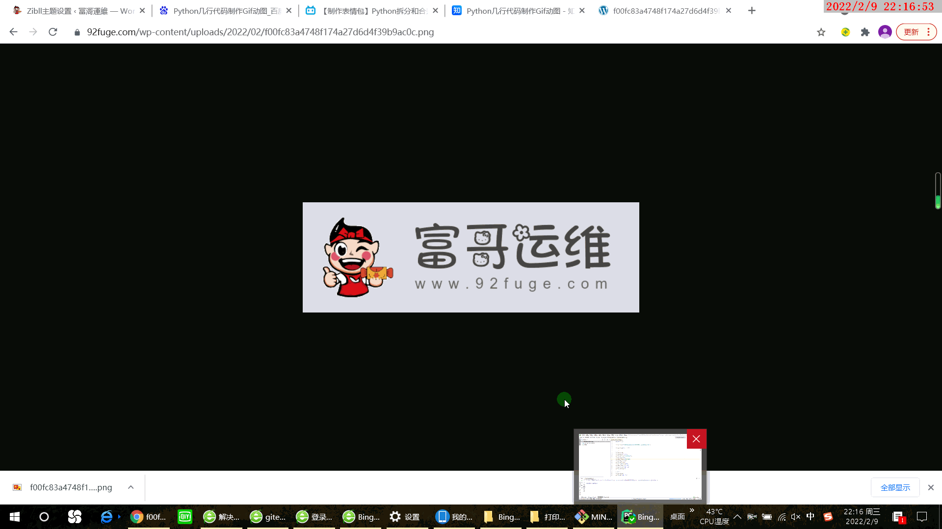 图片[4]-使用Python画个冰墩墩-我的运维技术站